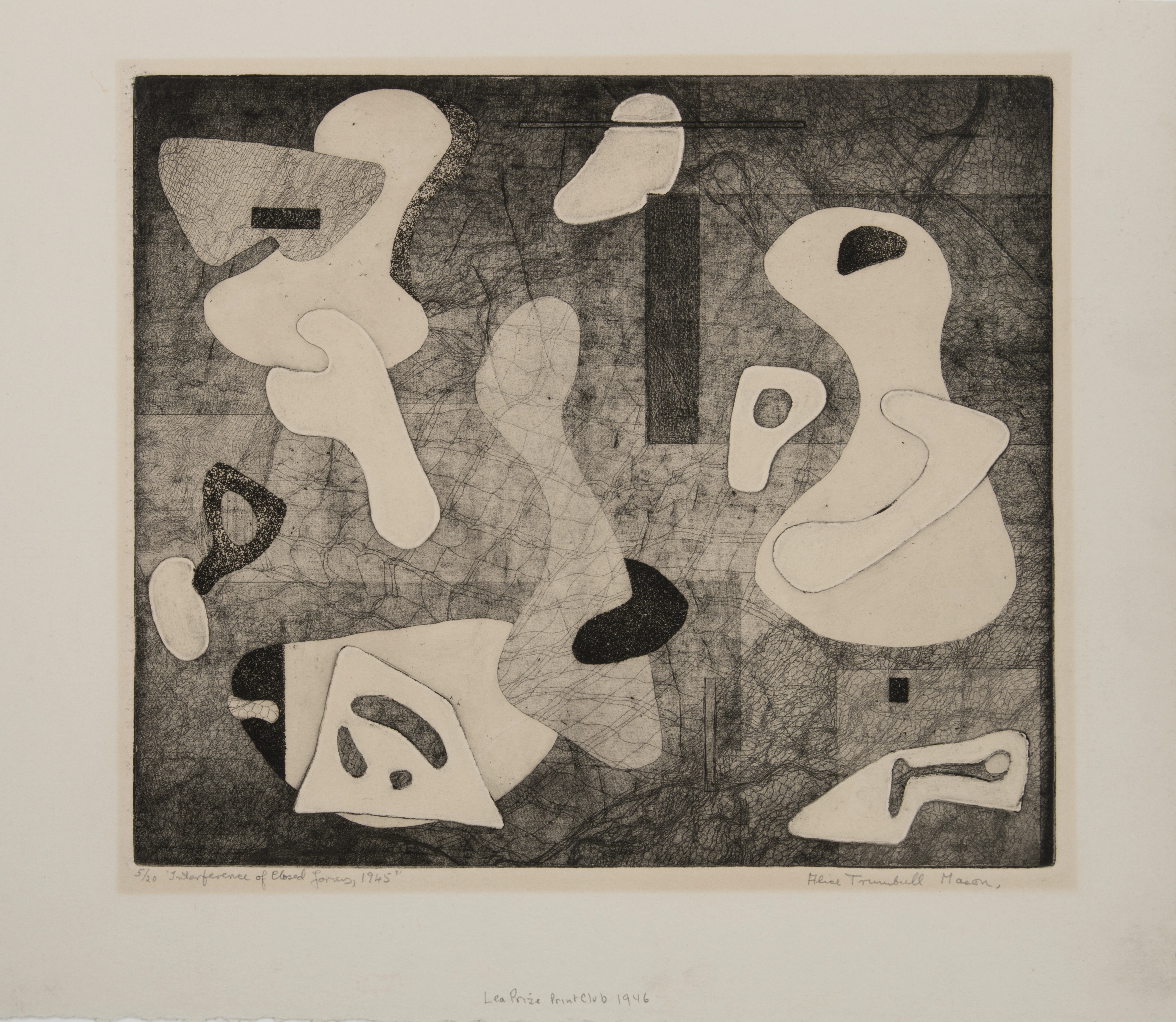 Etching on paper of biomorphic forms, created using white and various grey tones. The background has a net-like quality to the surface/line work.