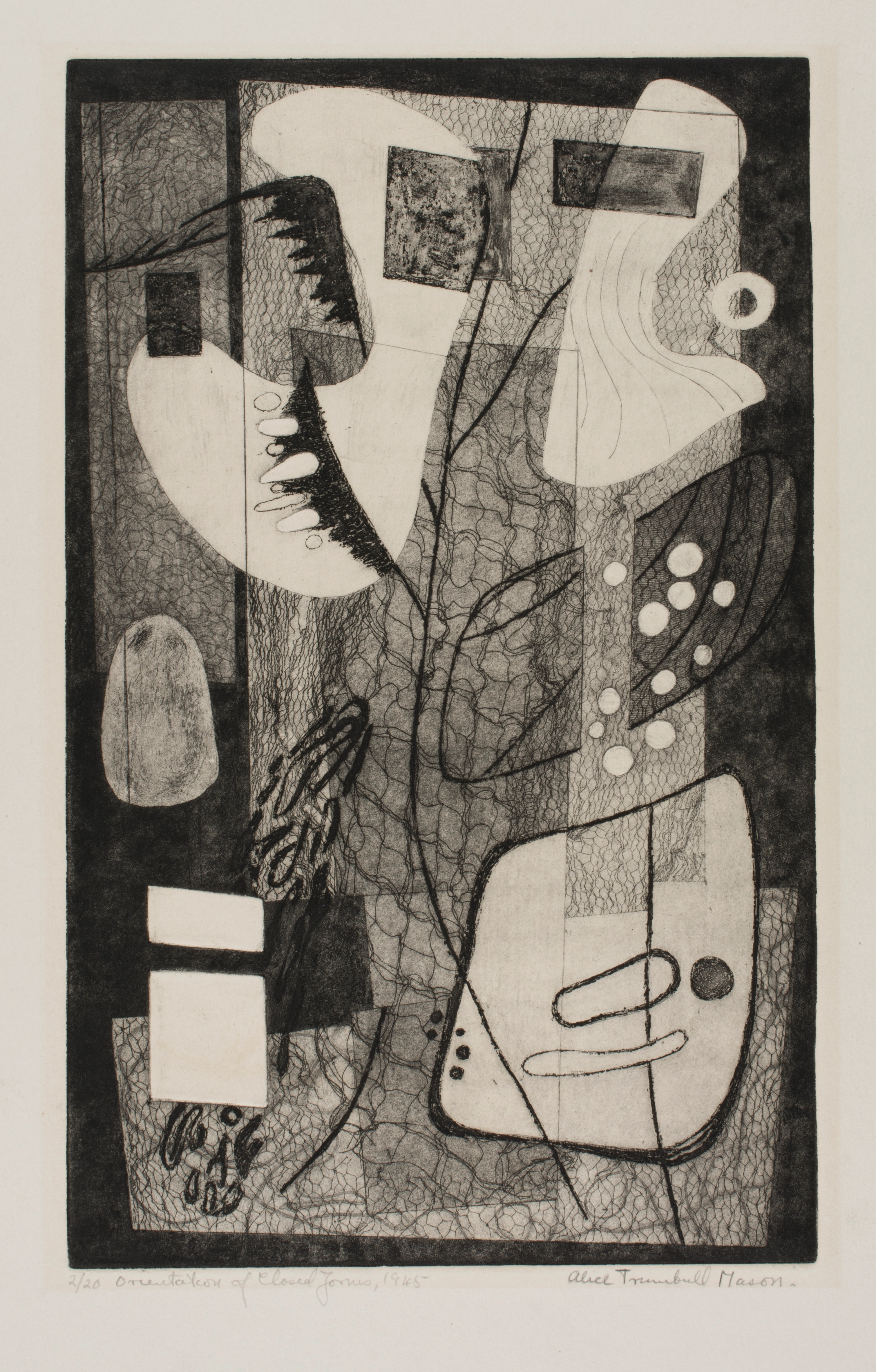 Abstract print on paper comprised of grey, white, and black organic forms and curves lines. Some of the forms contain a net-like texture inside created by lines.