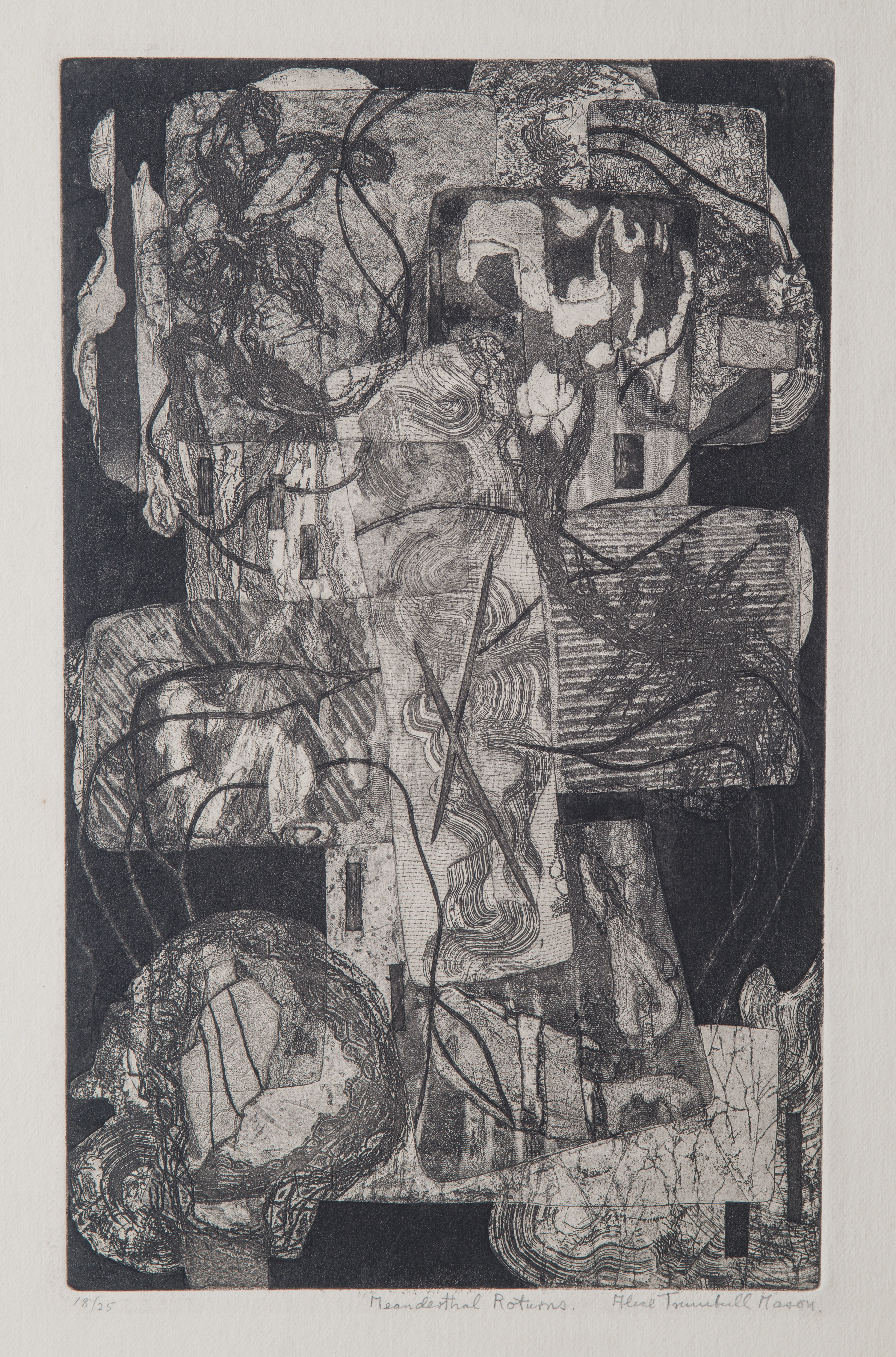 Abstract print on paper, comprised of biomorphic forms and lines. The lines have varying grey tones and are net-like, mimicking the texture of fabric.