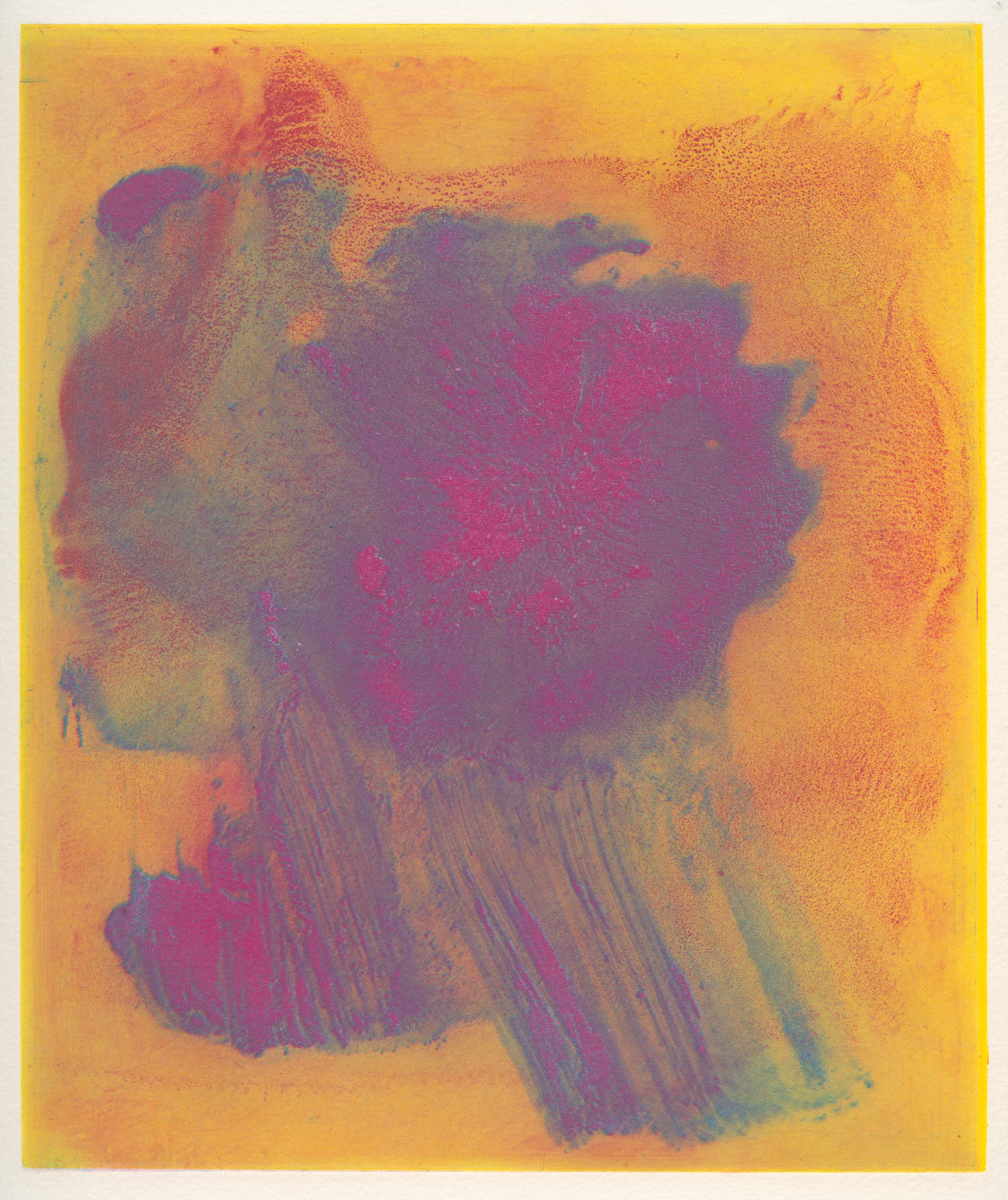 Monoprint on paper of magenta and blue brushstrokes centered over a yellow and yellow-orange background.