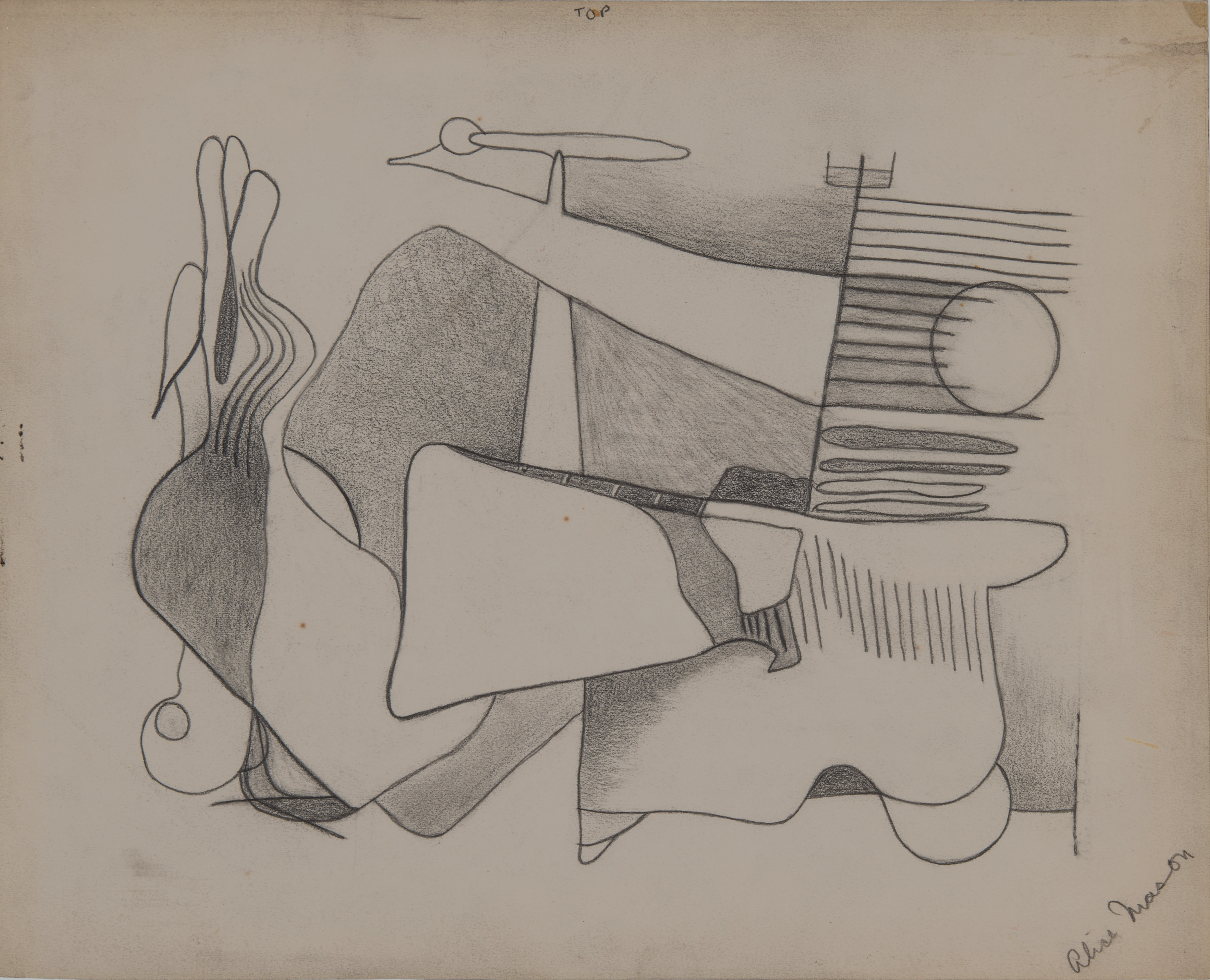 Abstract drawing with graphite on paper, comprised of lines and biomorphic forms, with some shading in areas which creates depth.