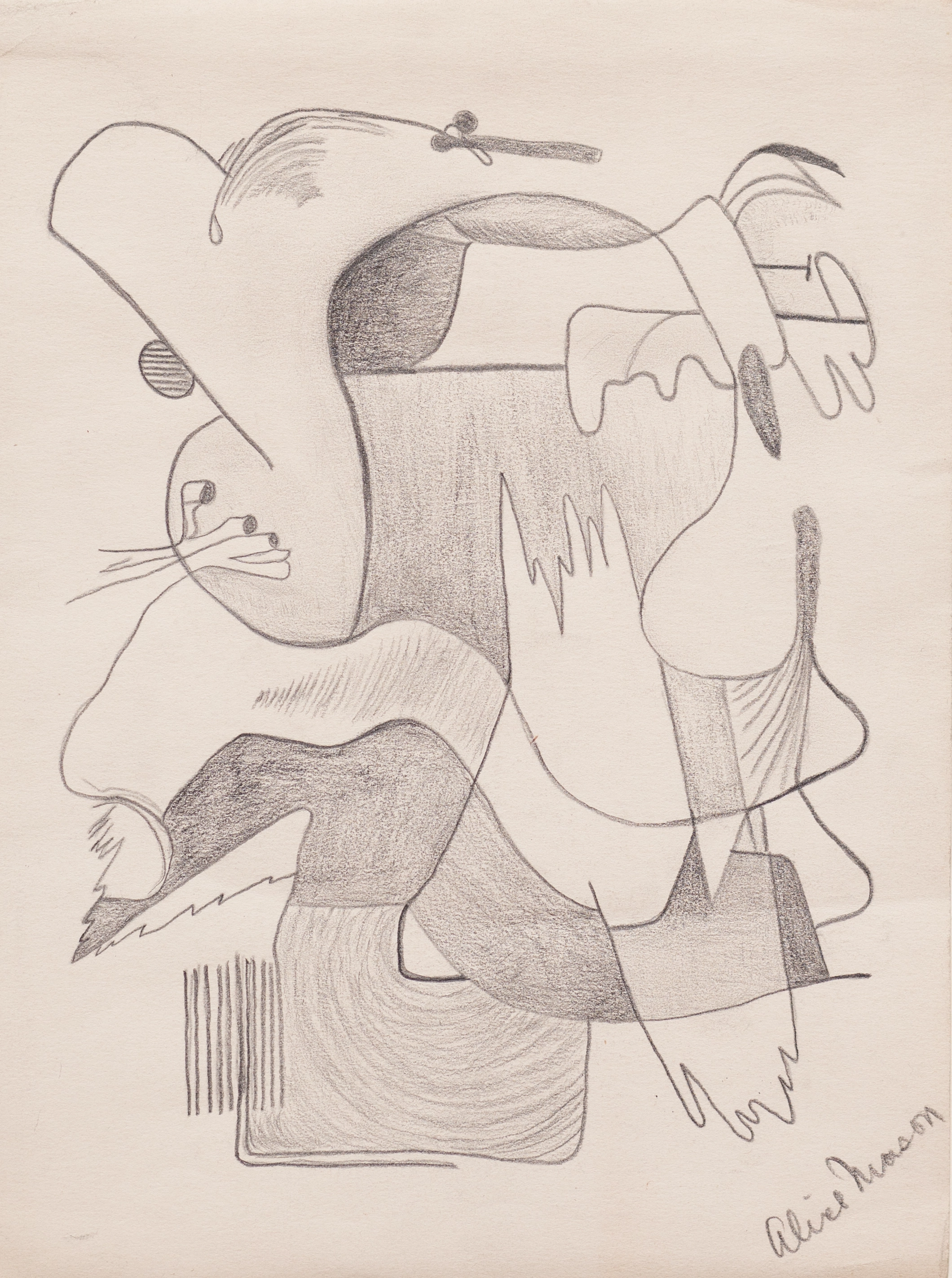 Abstract drawing with graphite on paper, comprised of layered lines and biomorphic forms centered on the page. "Alice Mason" is signed on the bottom right.
