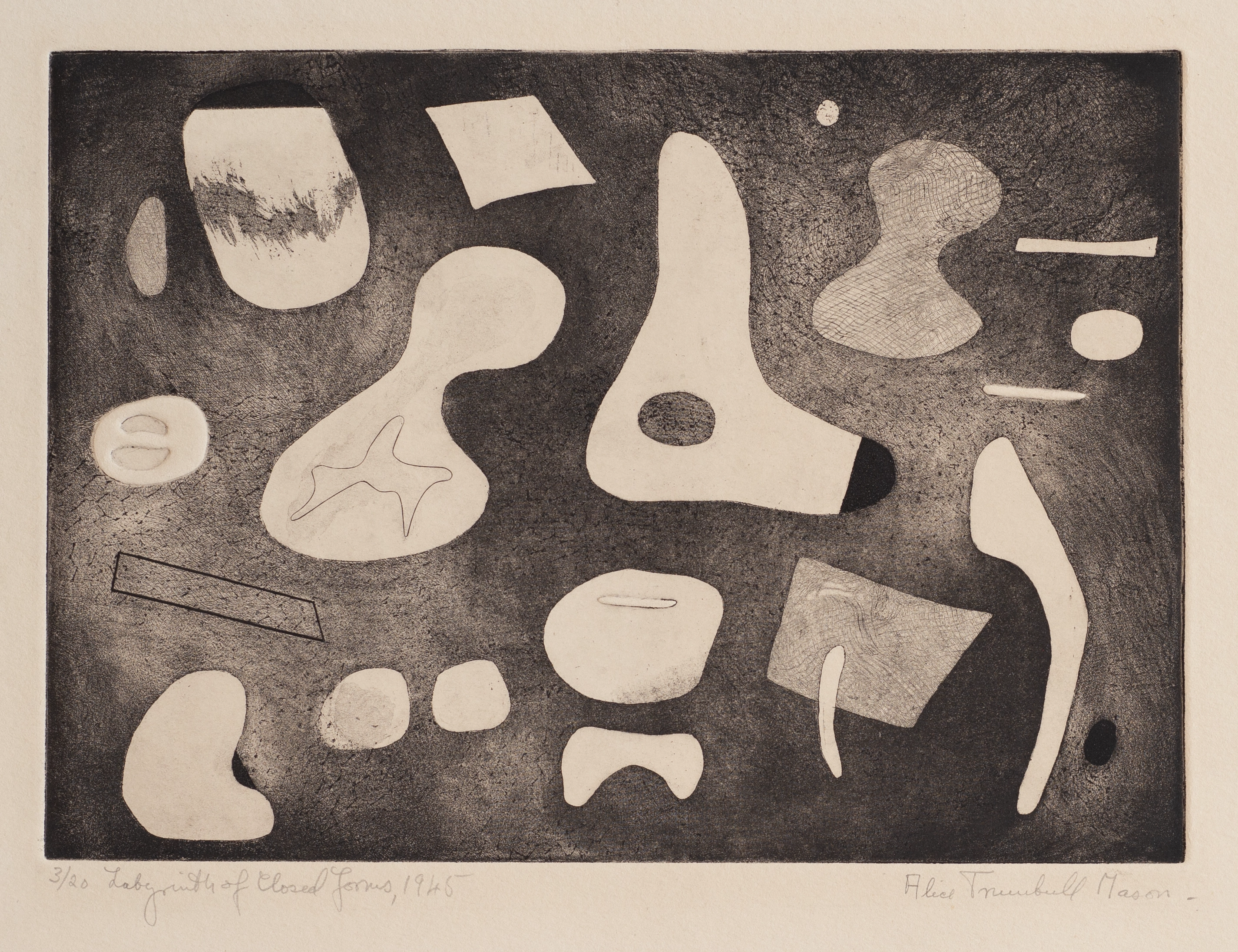 An etching of biomorphic shapes that are black, white, and shades of grey.