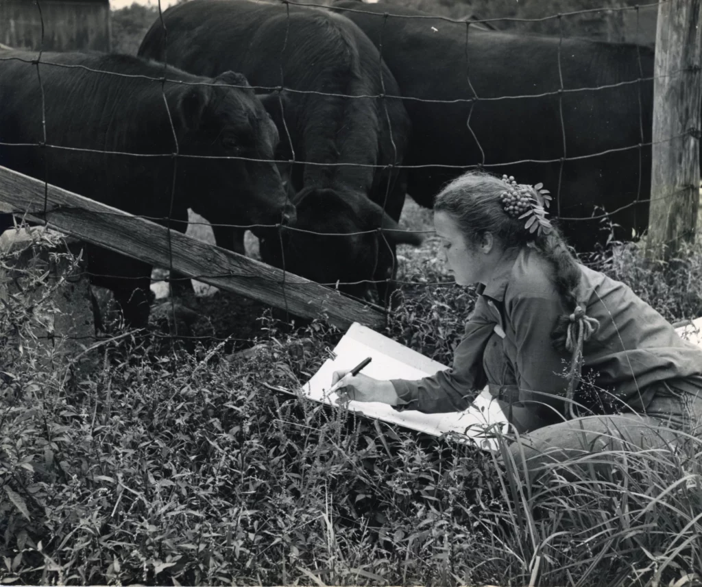Black and white photograph from 1955 of a young woman with a light skin tone kneeling in the grass and sketching in front of a wire fence and three black cows.