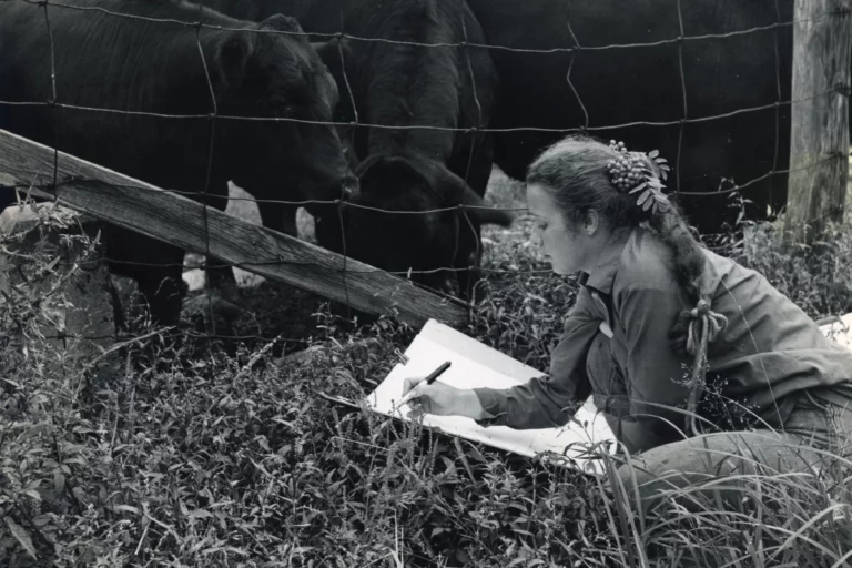 Black and white photograph from 1955 of a young woman with a light skin tone kneeling in the grass and sketching in front of a wire fence and three black cows.