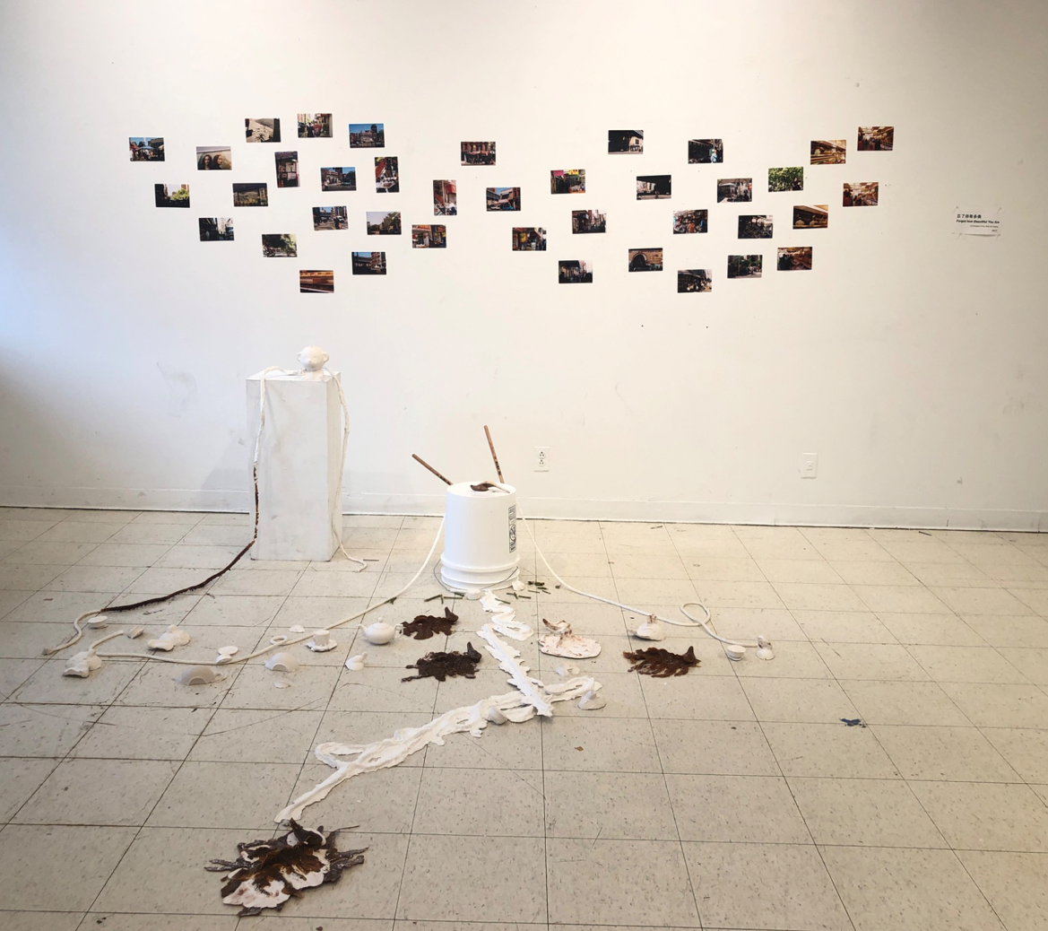 Image of an art installation with 4"x 6" photographs tacked to the wall, with white molds of nature-inspired forms on the ground below.