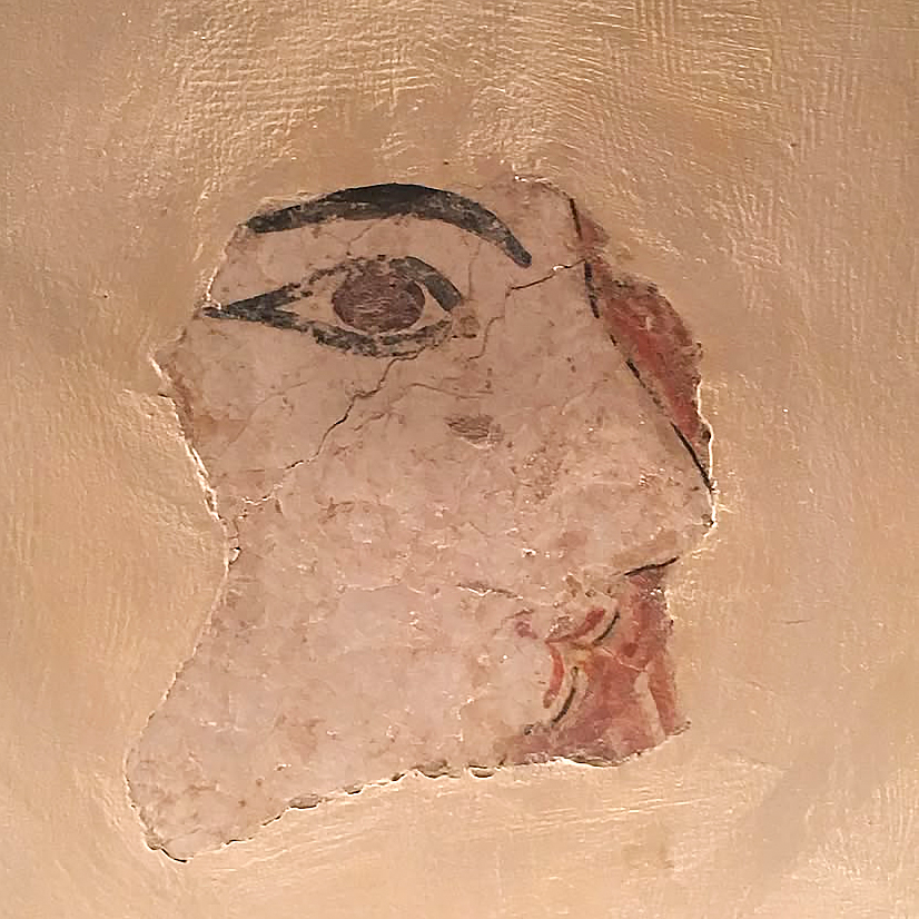 Photograph detail of a fresco fragment, showing the side profile of a beige face with black eyeliner and black eyebrows.