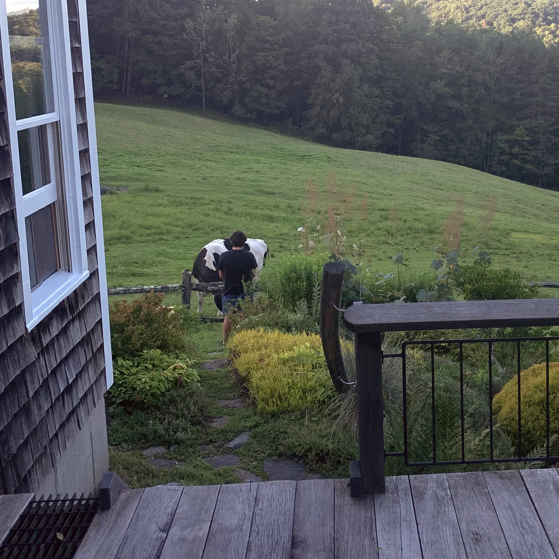 cropped-Jon_Avatar.webp Image of a meadow from the wooden deck of a brown farmhouse; in the distance, a man is petting a black and white cow.